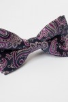 Papion mov cu paisley mov cu lila