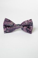 Papion mov cu paisley mov cu lila