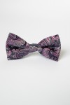Papion mov cu paisley mov cu lila
