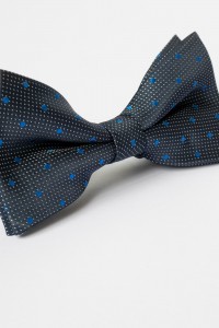 Papion bleumarin cu buline albastre