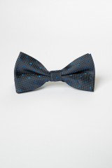 Papion bleumarin cu buline albastre